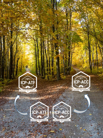 ICAgile ICP-ATF ICP-ACC