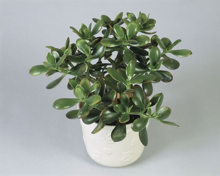 e86b013fd3203f7ce1d0941457ca5aed