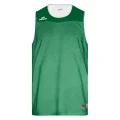 Maillot réversible BASKET DUNK