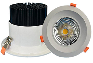 Lite Unite C20 LED Downlight