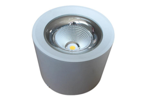 Lite Unite Round Surface LED Downlight