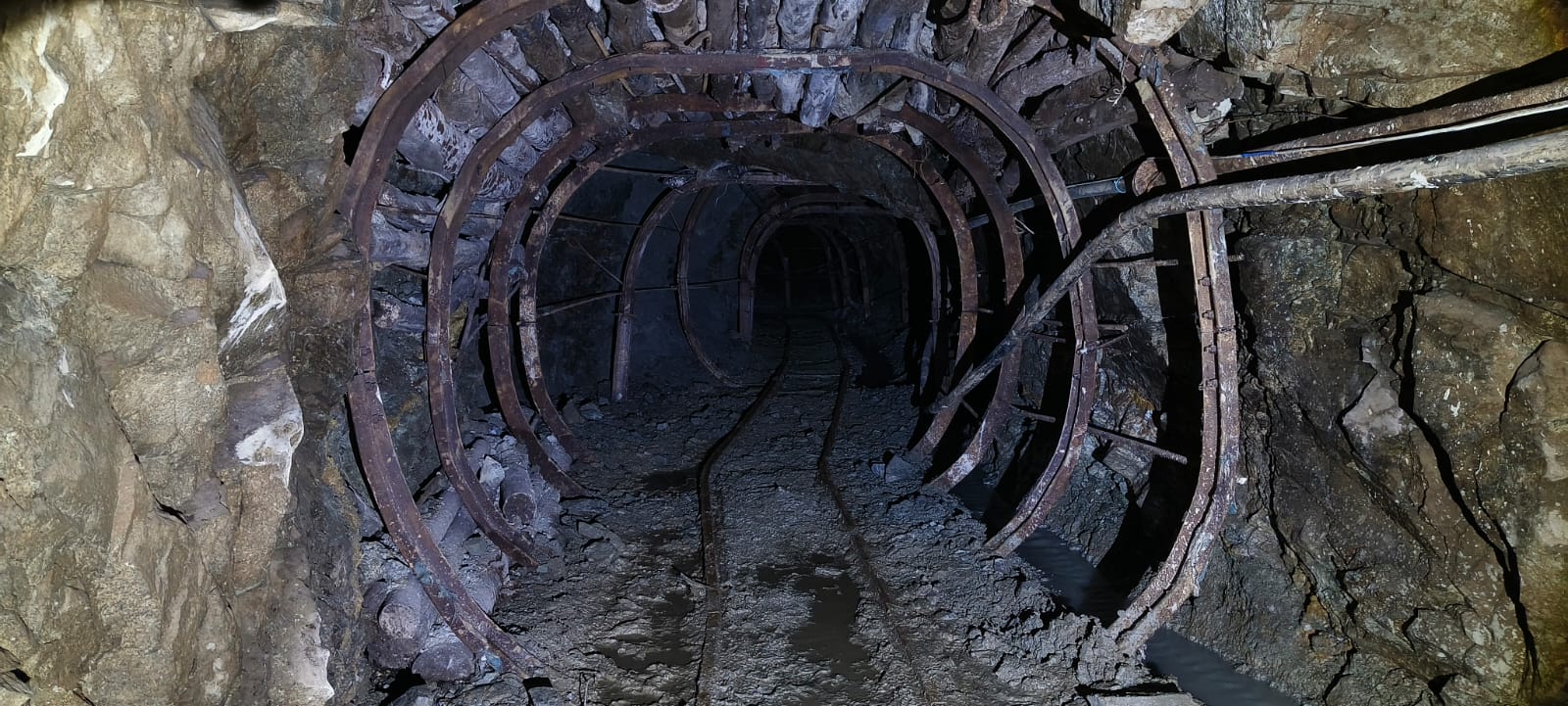  Empowering Growth with Every Discovery