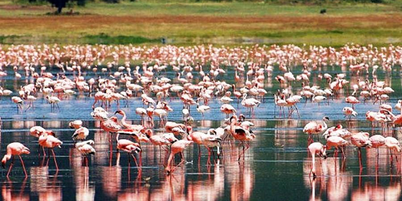 Lake Manyara National Park