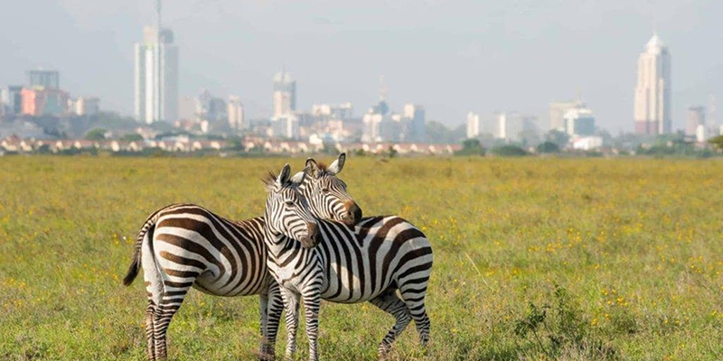 Nairobi National Park